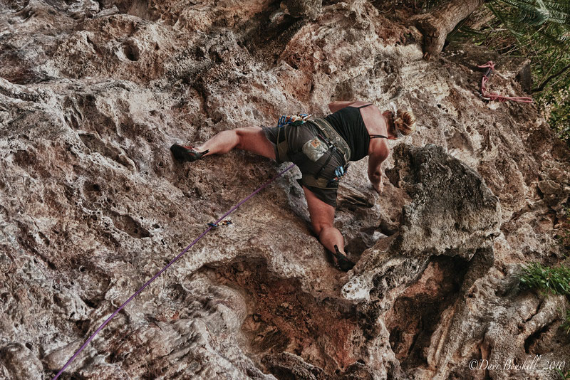 dave rock climbing