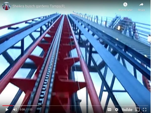 Top 10 Roller Coasters In Florida