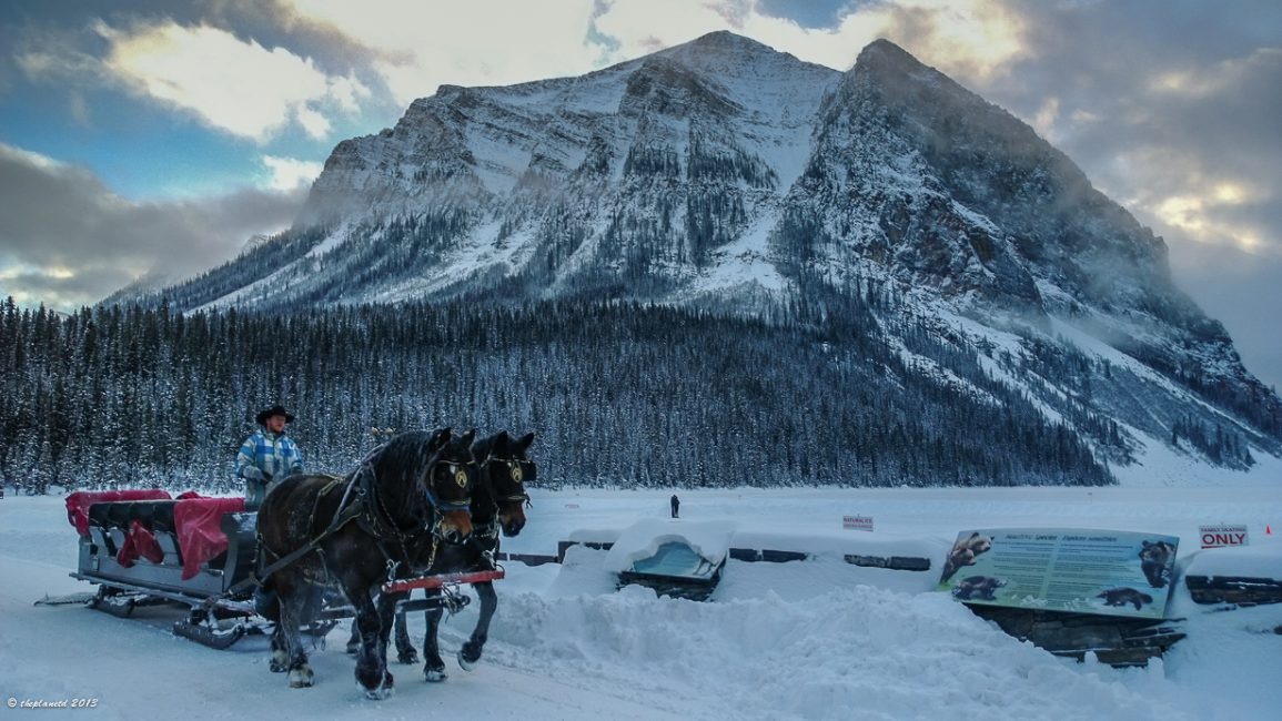 A Sleigh ride around Lake Louise is a great canadian winter activity