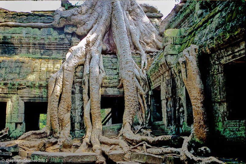 ruins of the world angkor wat