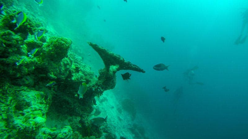 scuba dive the maldives
