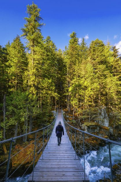 Suspension bridge on the Train Wreck Trail Sea to sky