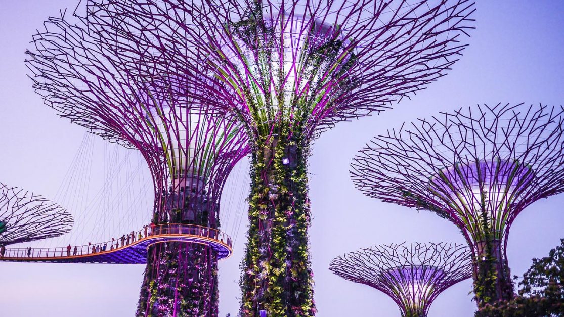 Super arborescence à Singapour