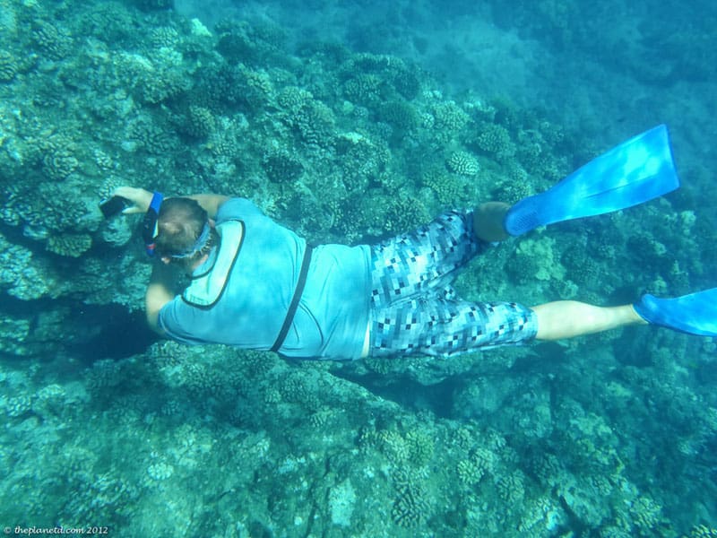 Snorkeling Lanai A Scenic Sail and Outdoor Adventure The D