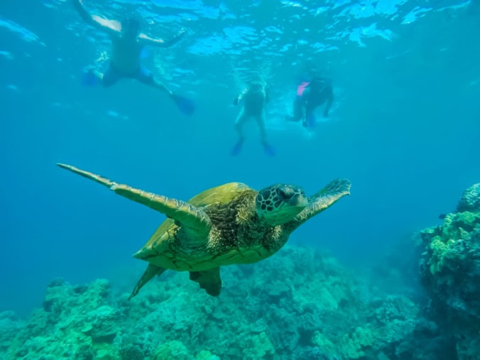 Snorkeling in Maui, one of the best places to travel in December for warm weather.