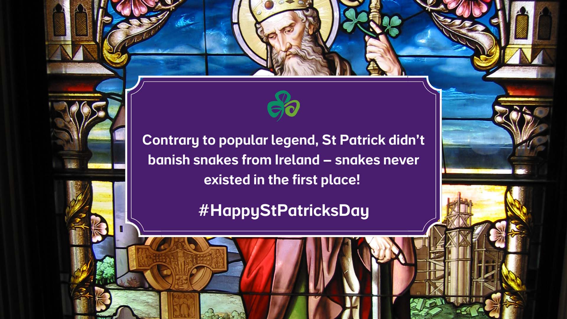 st patricks day facts about the snake 