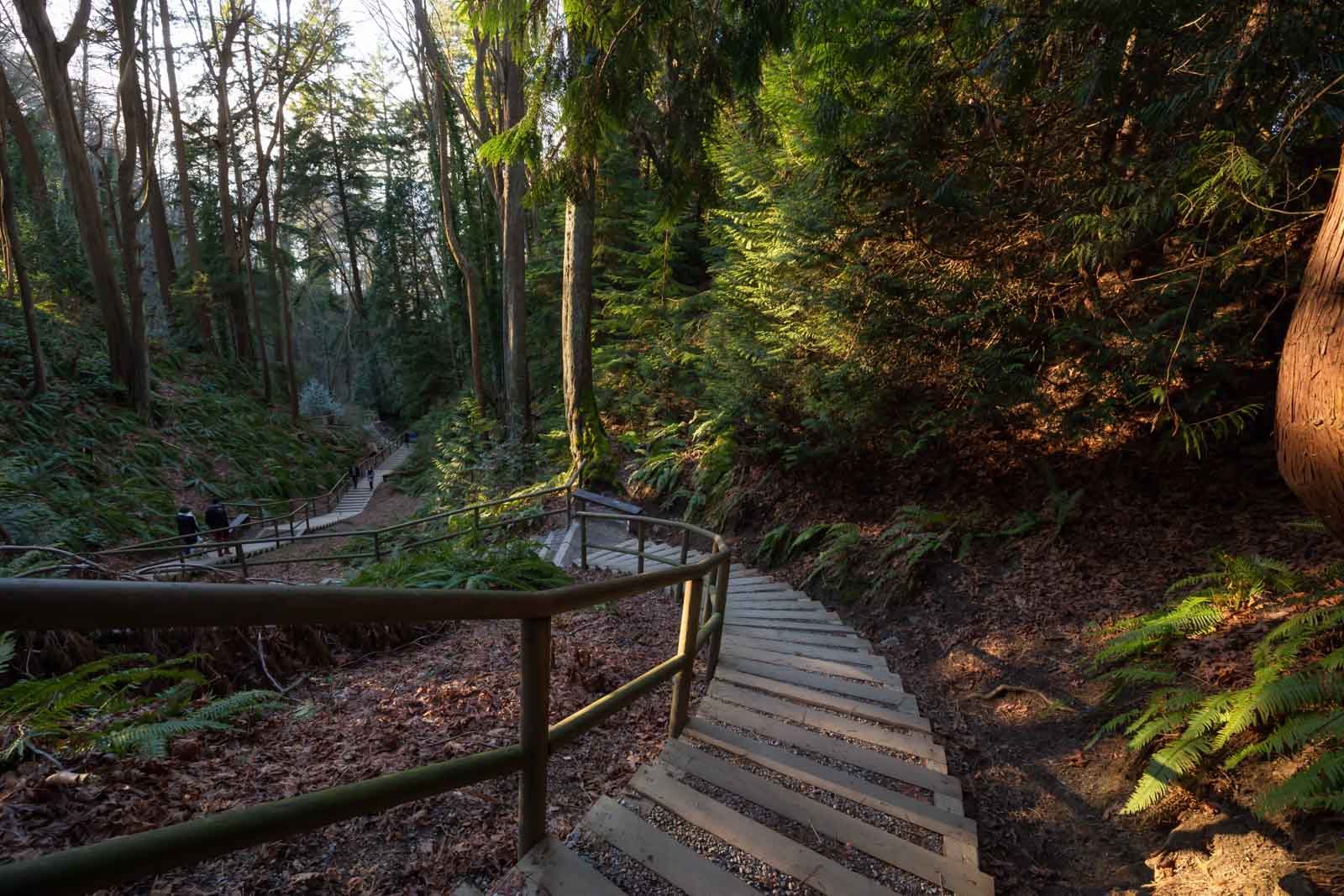Stairs leading down to Wreck Beach in Vancouver