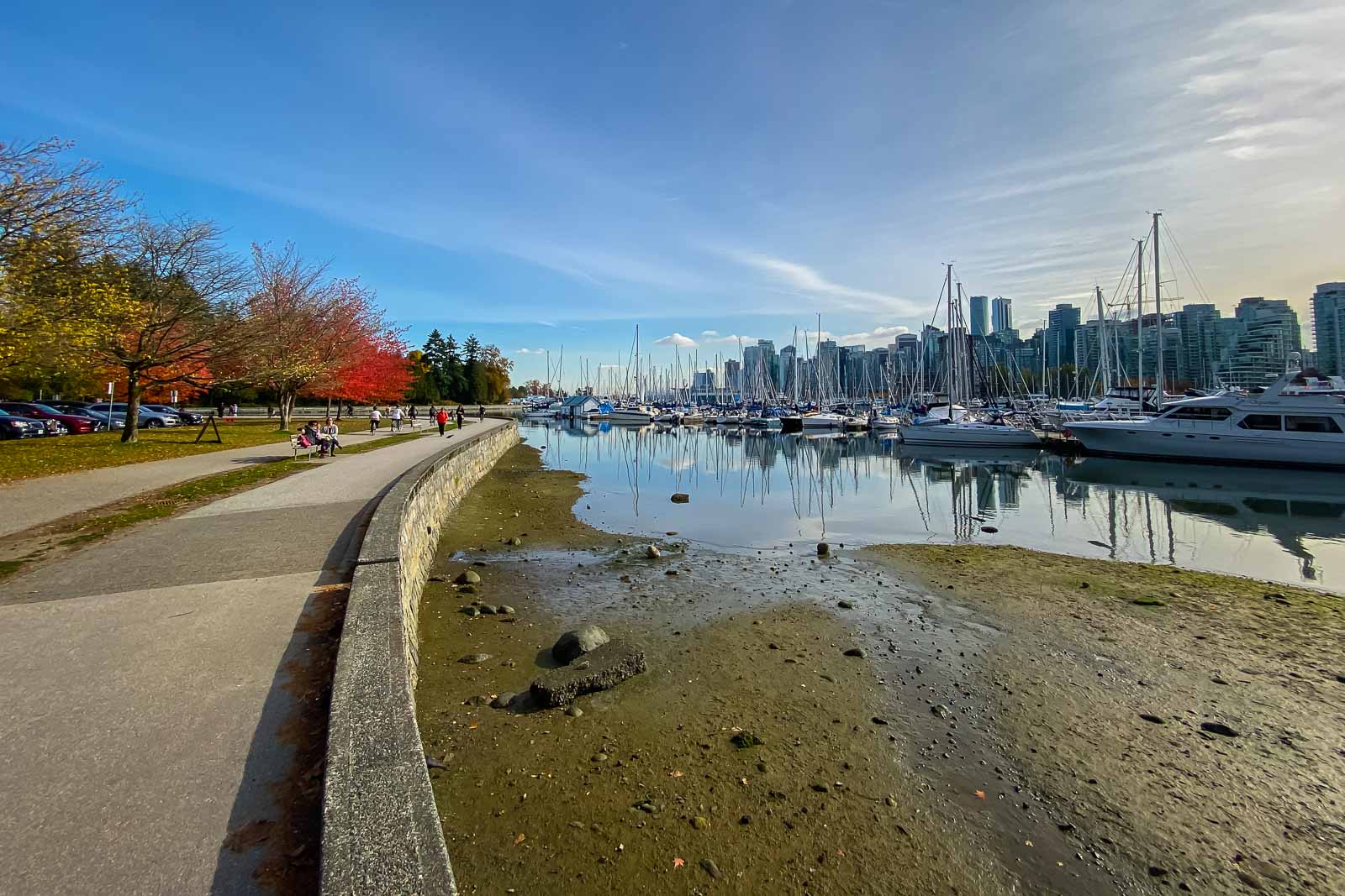 Dave and Deb biking along the scenic Stanley Park Seawall with the Vancouver skyline in the distance.