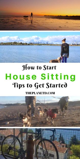 how to start house sitting