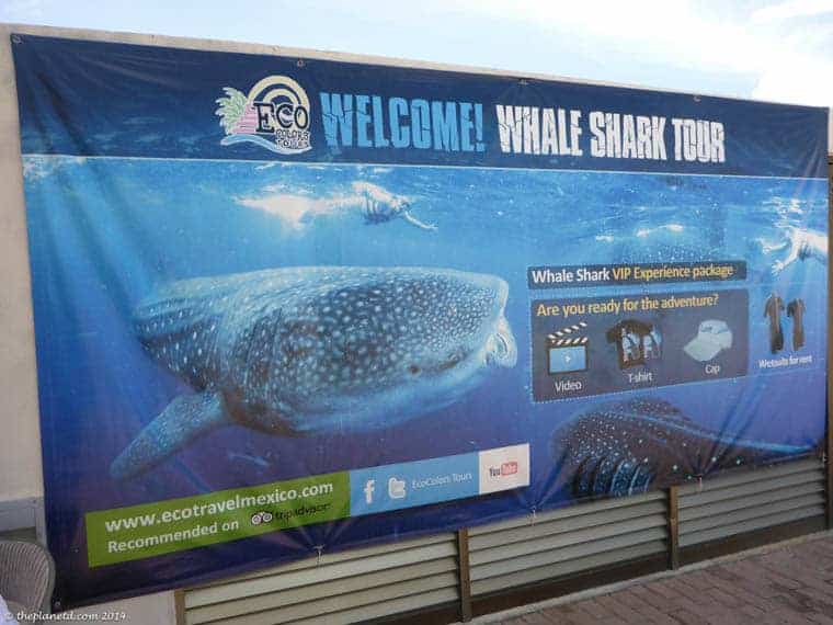 swim with whale sharks entrance