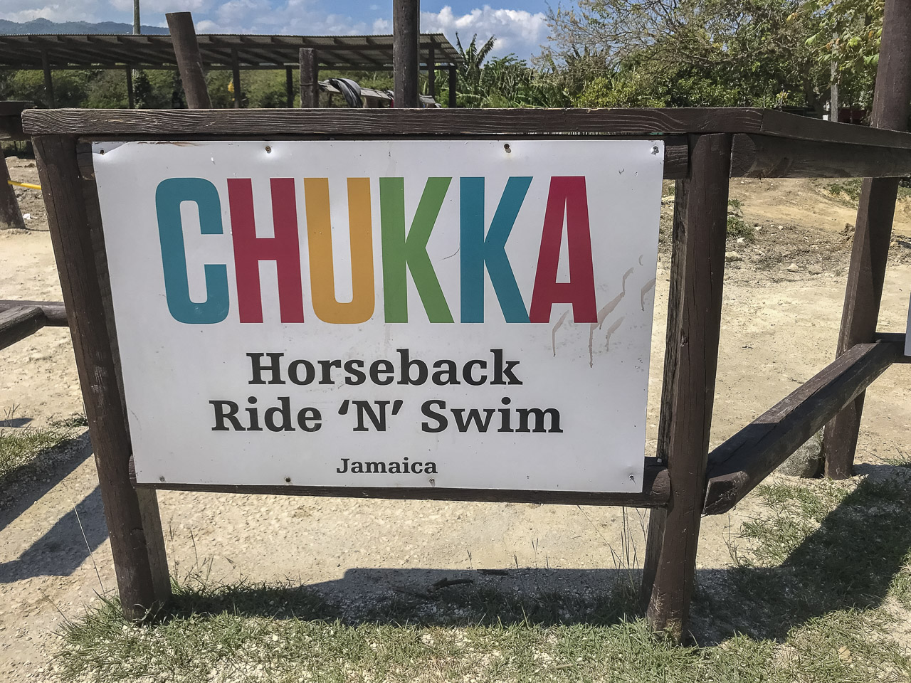 Swimming with horses in Jamaica with Chukka