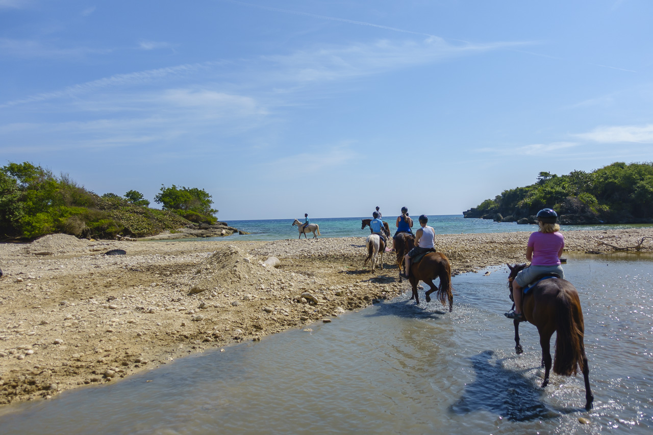 Swimming with horses beach
