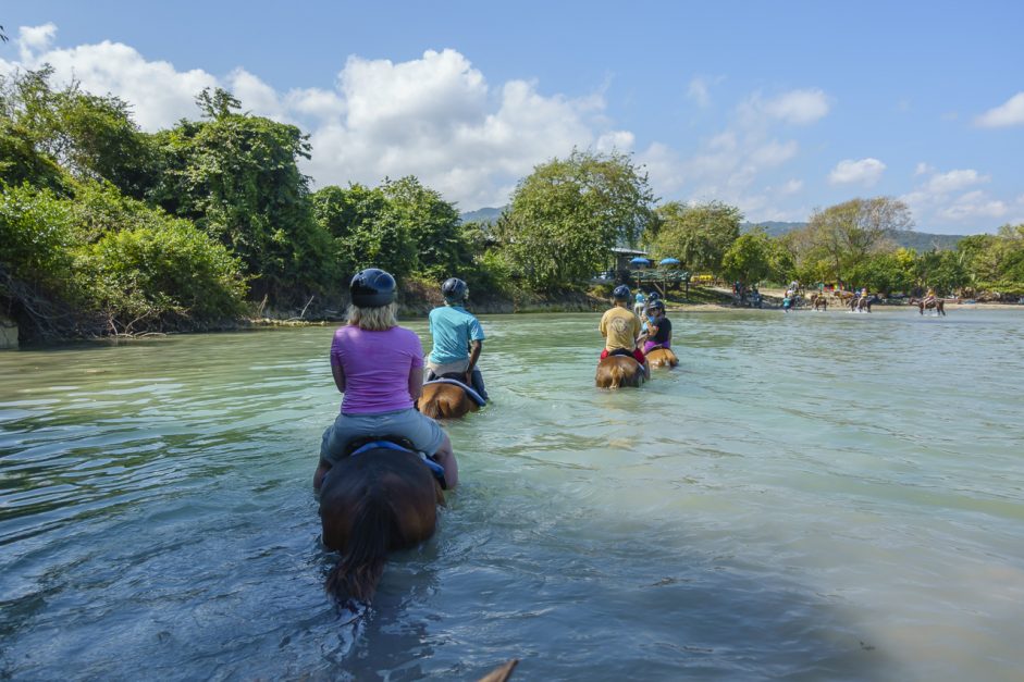 Swimming with Horses in Jamaica The D Adventure Travel Blog