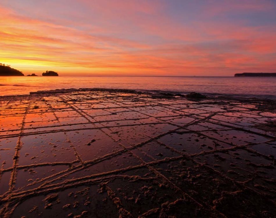 Places to visit in Tasmania on Road Trip