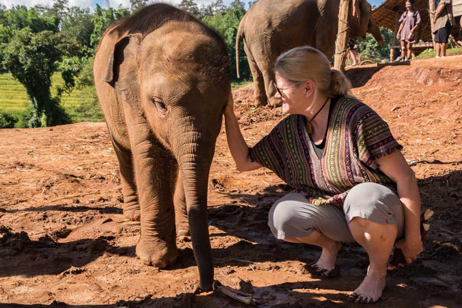 thailand travel tips don't ride elephants