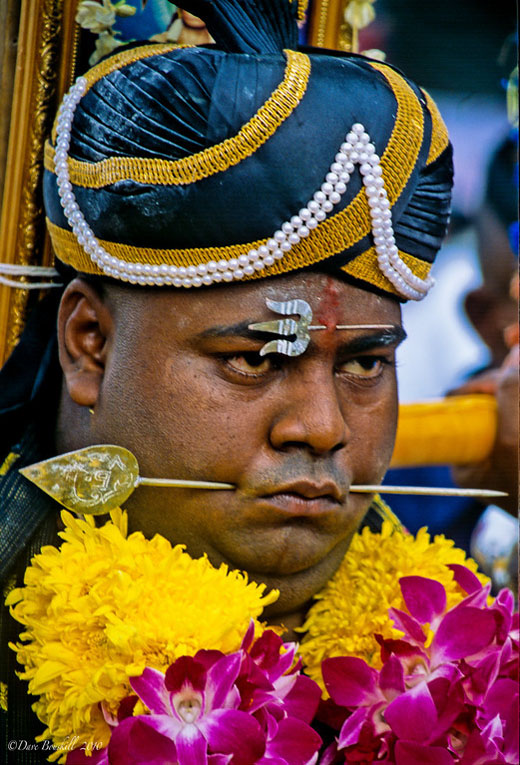 thaipusam spears