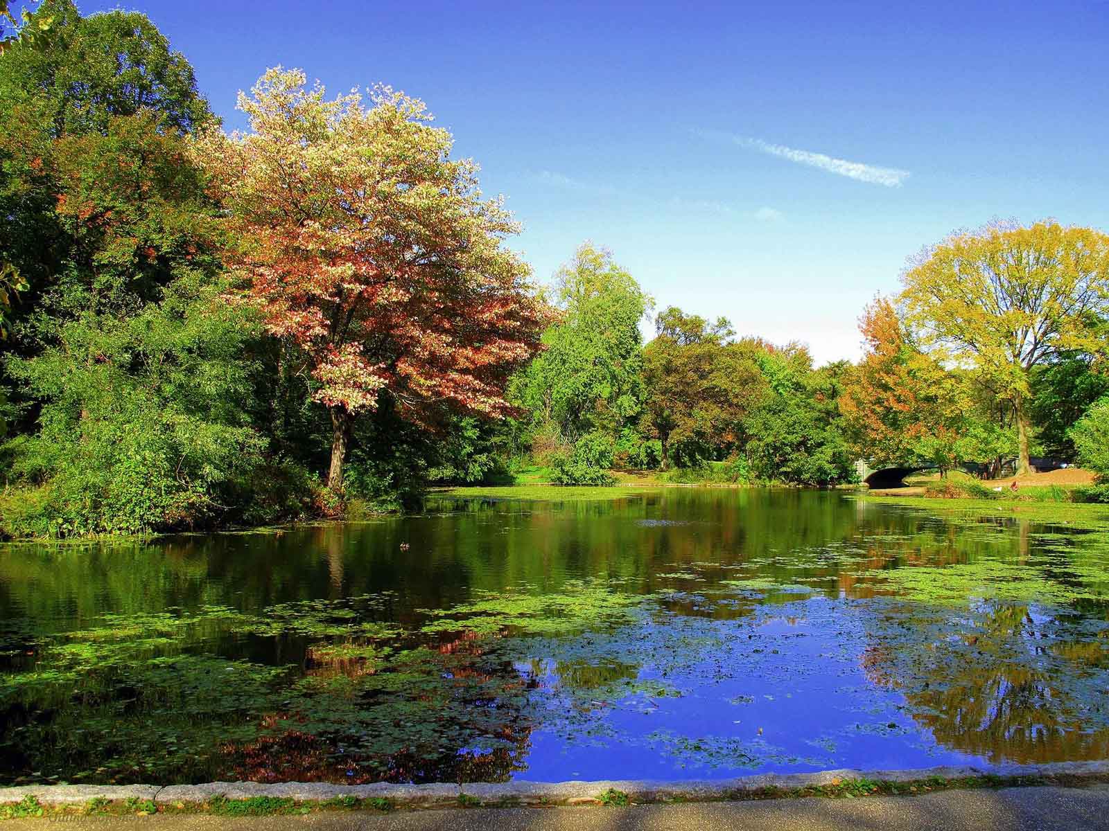 things to do in Brooklyn Prospect Park