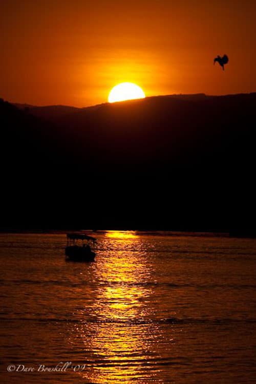 udaipur sightseeing lake pichola cruise