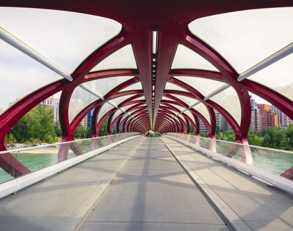 21 Best Things to do in Calgary, Alberta