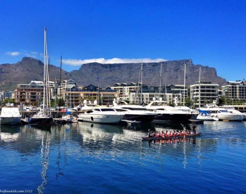 20 Amazing Things to do in Cape Town, South Africa
