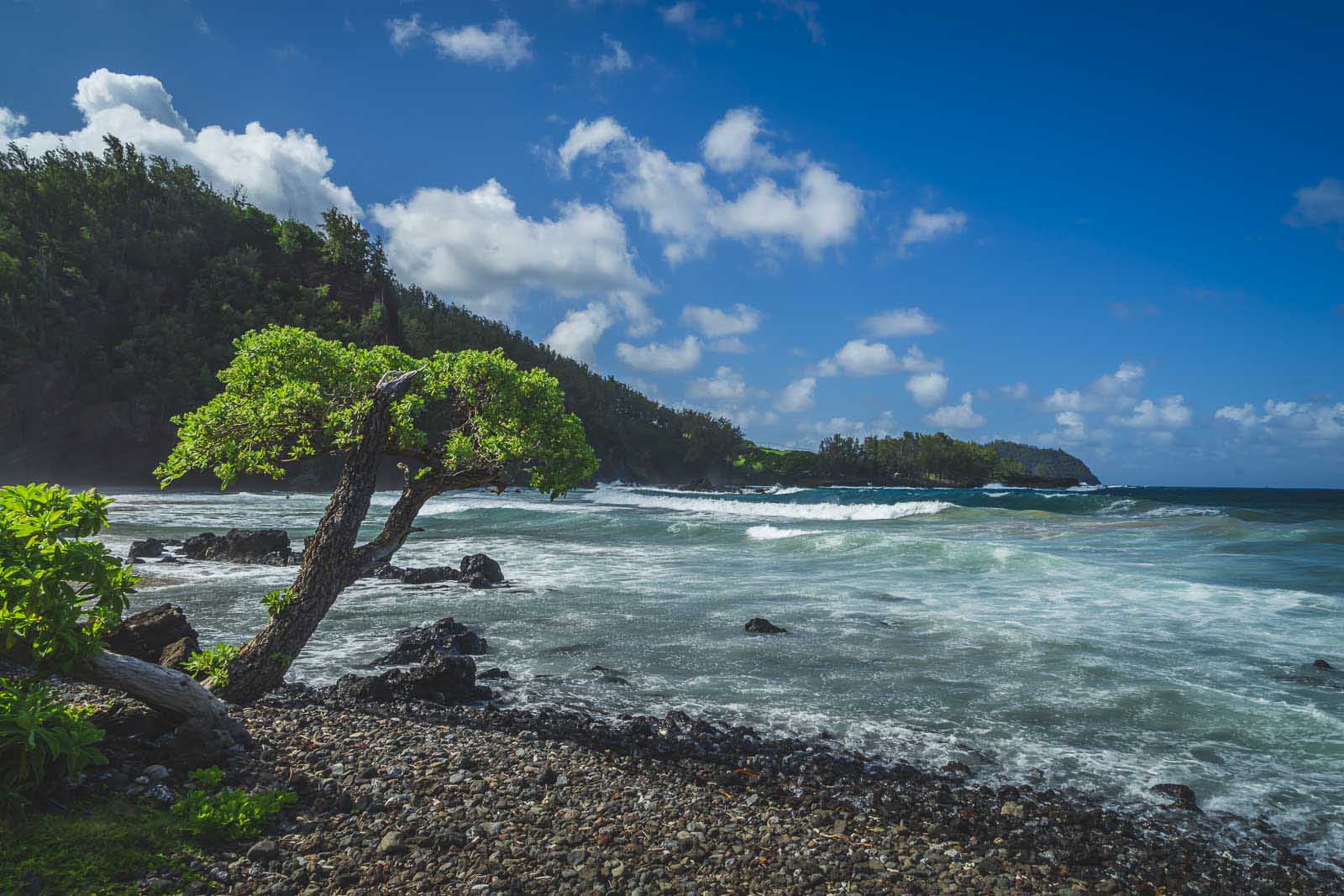 things to do in maui waianapanapa state park