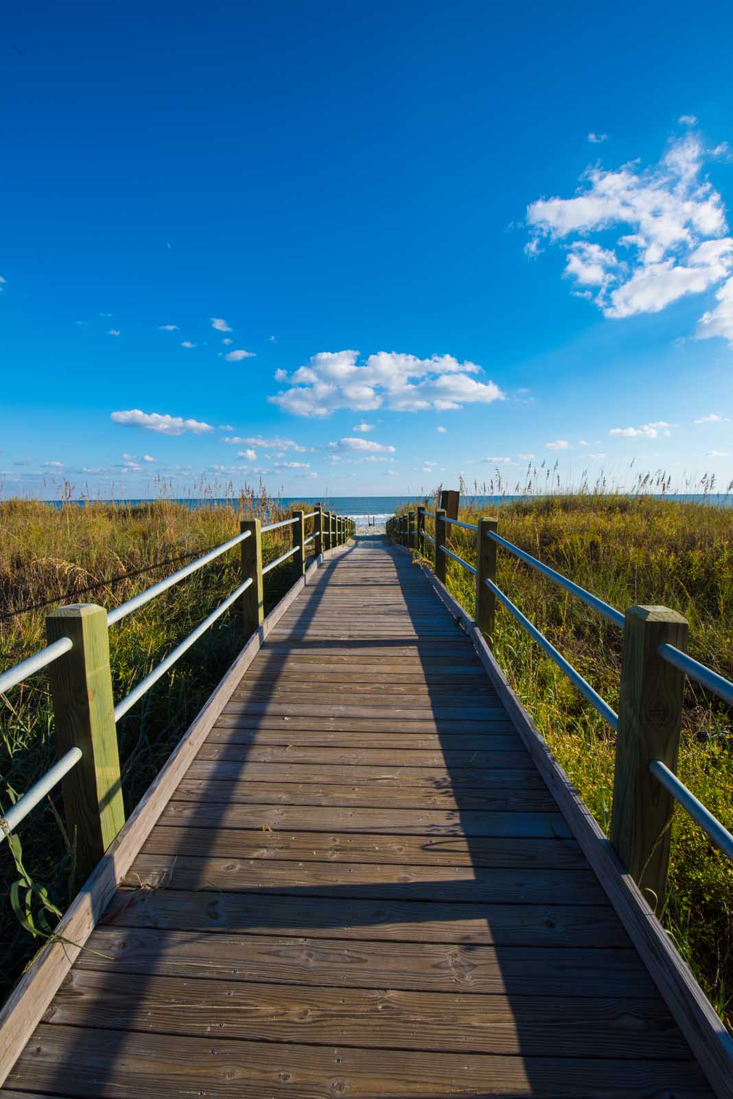 Things To Do In Myrtle Beach State Park 