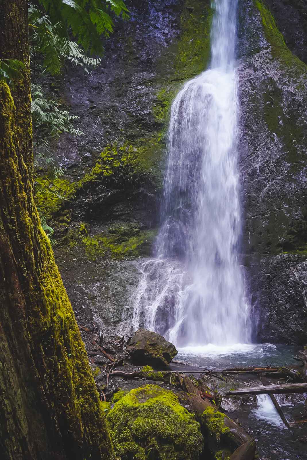 Things to do in Olympic National Park Marymere Falls