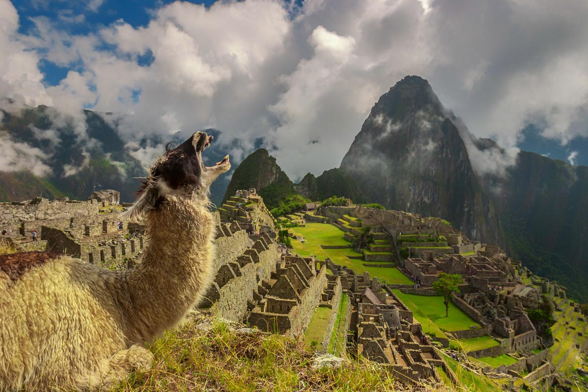 things to do in peru machu picchu