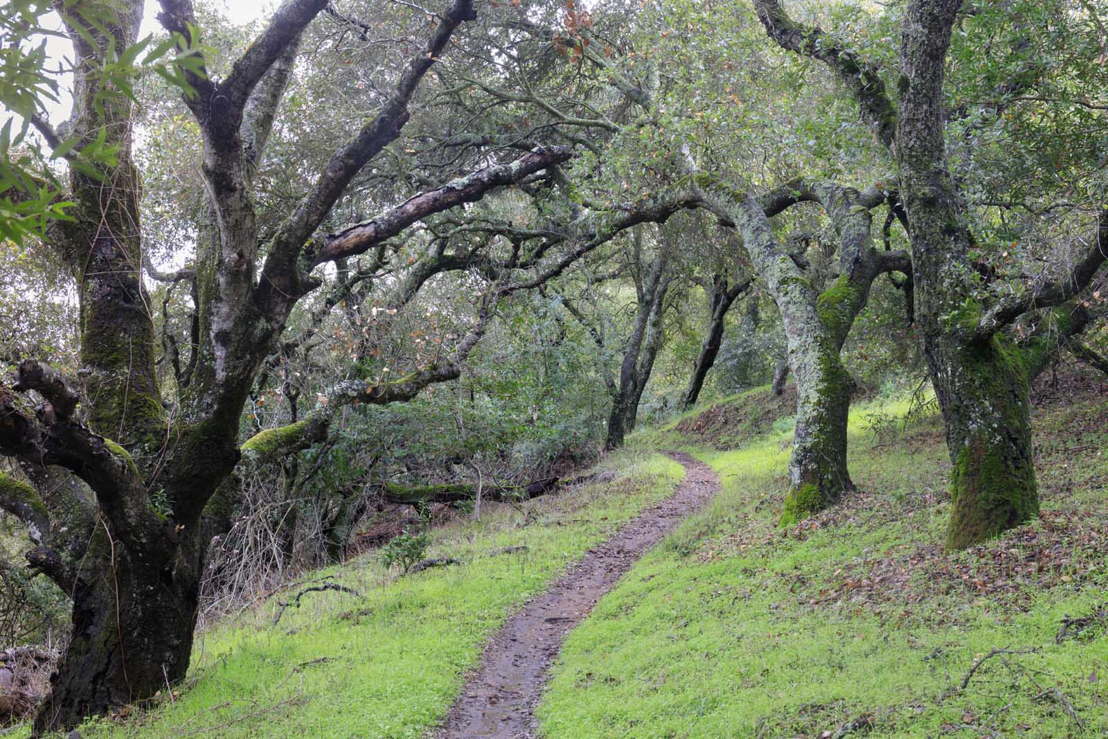 things to do in san jose california Almaden Quicksilver County Park