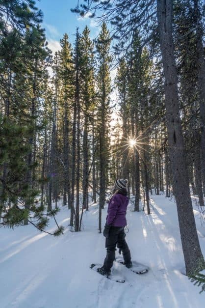 banff winter activities