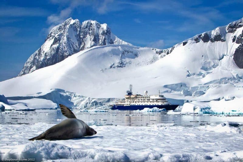 best things to do in antarctica expedition ship