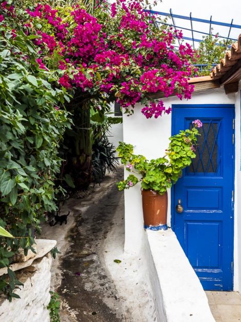 Portes et fenêtres colorées dans le quartier Plaka d'Athènes