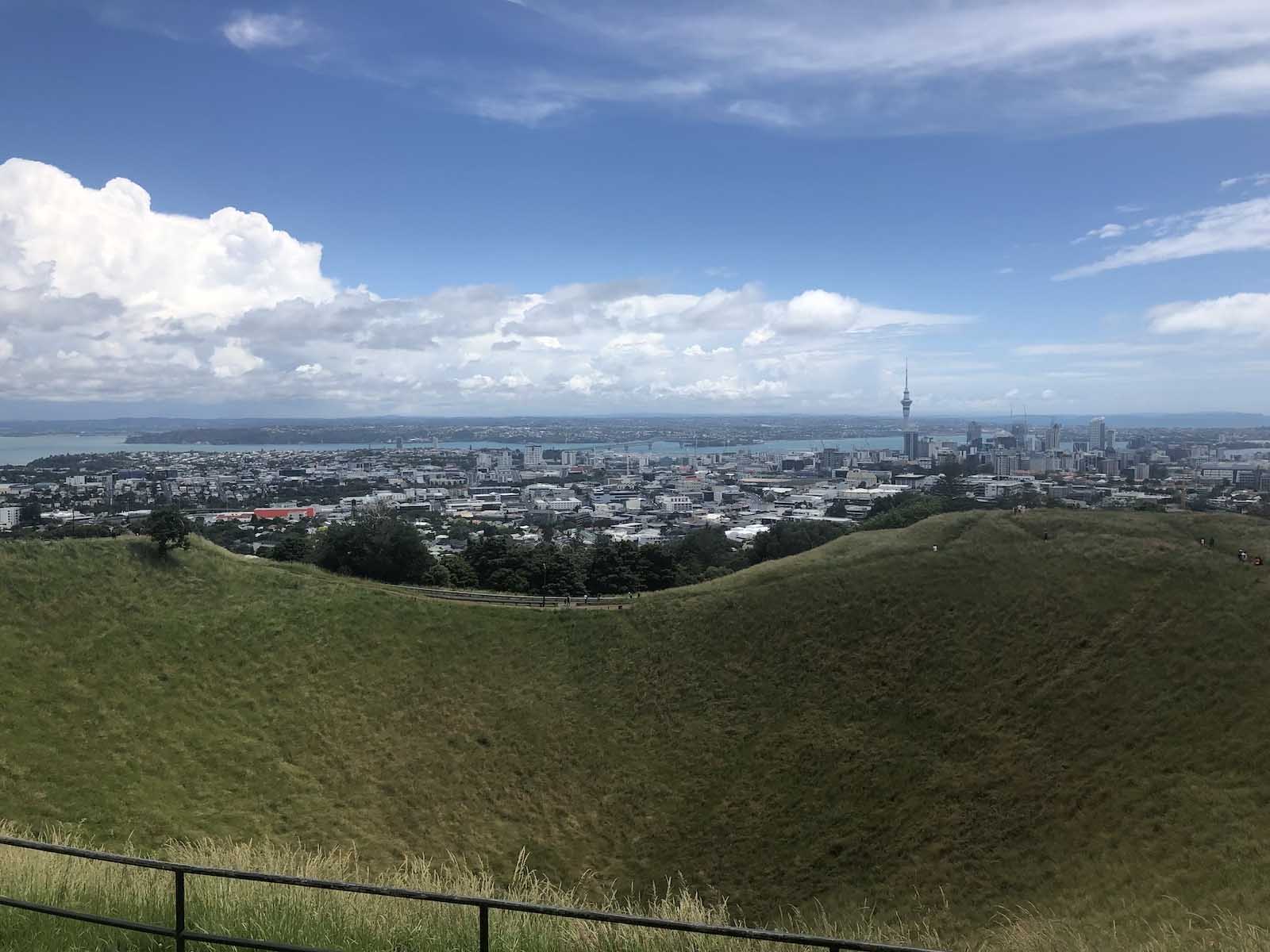 popular things to do in auckland