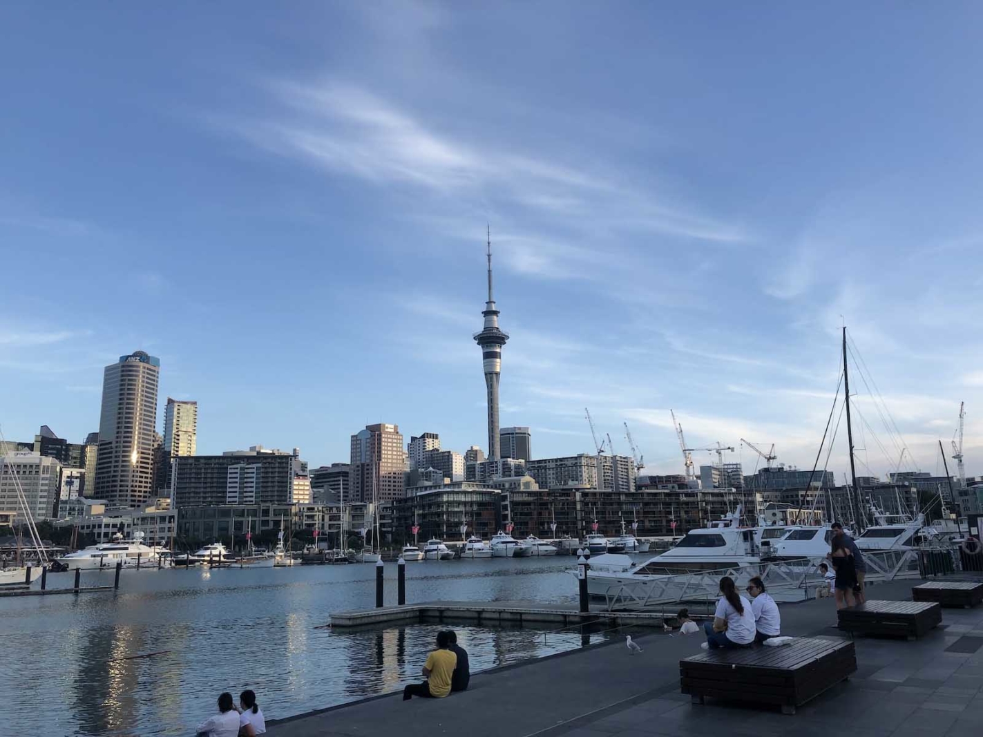 best things to doin auckland new zealand