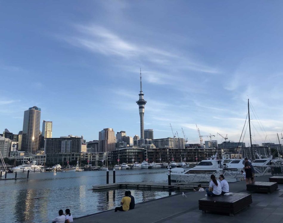 24 Best Things to Do in Auckland