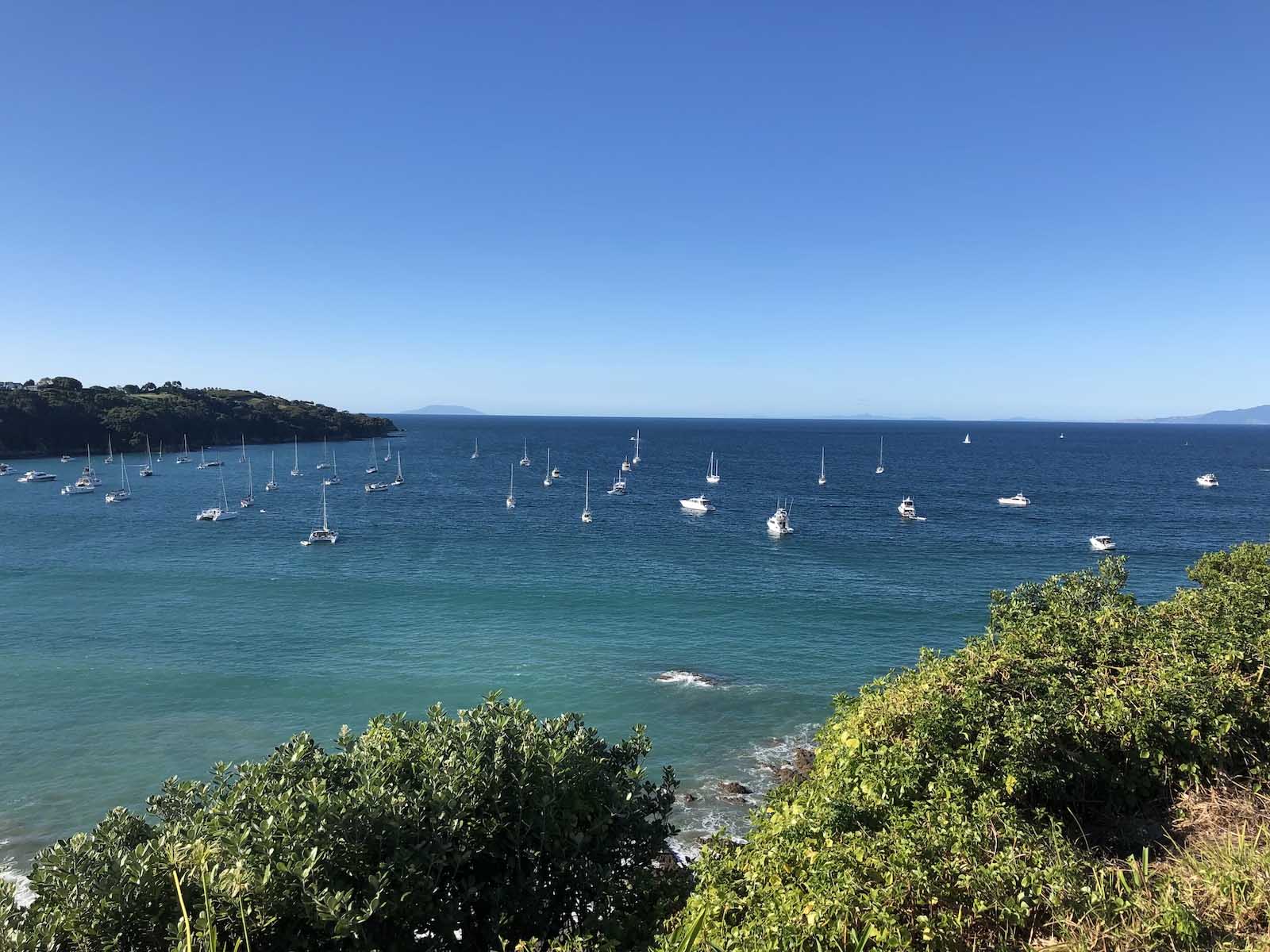 what to do in auckland waiheke island