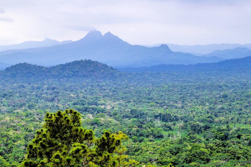 top things to do in belize | victoria peak