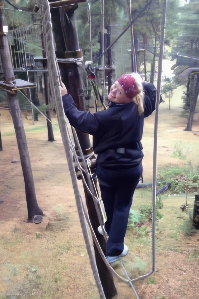 blue mountain high ropes