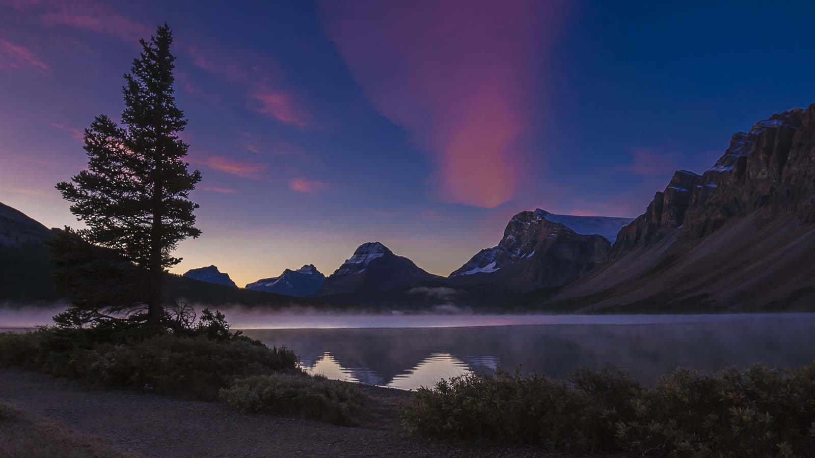 things to do in canada dark sky jasper