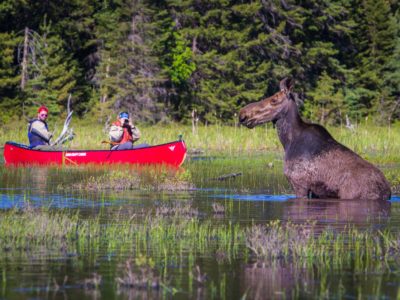 35 Amazing Things to do in Canada – Ultimate Canadian Bucket List