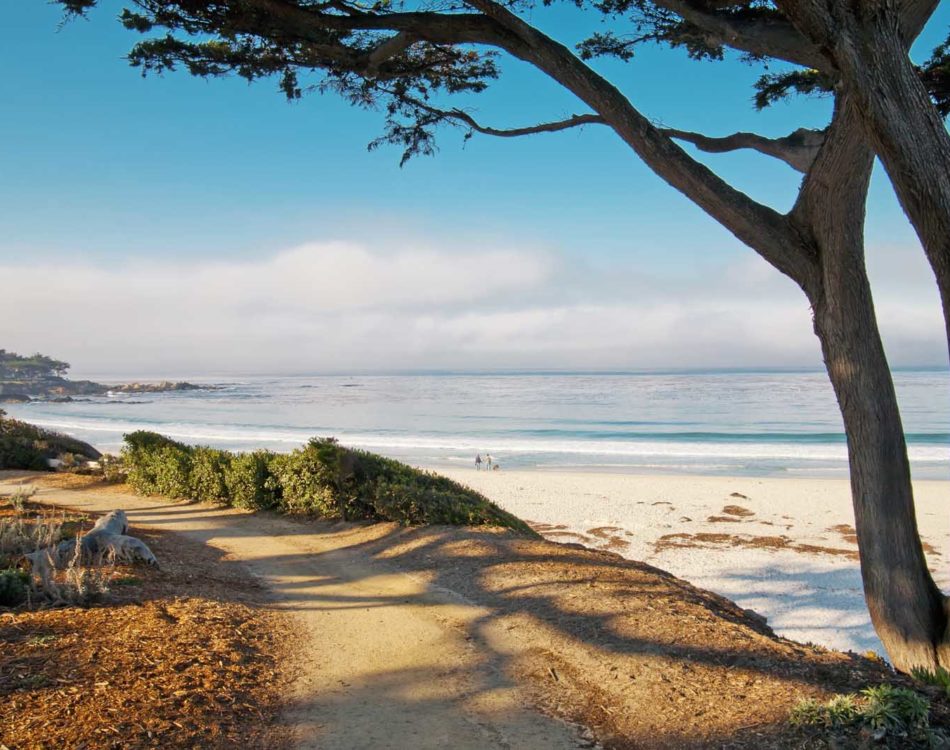 20 Best Things to Do in Carmel by the Sea, California