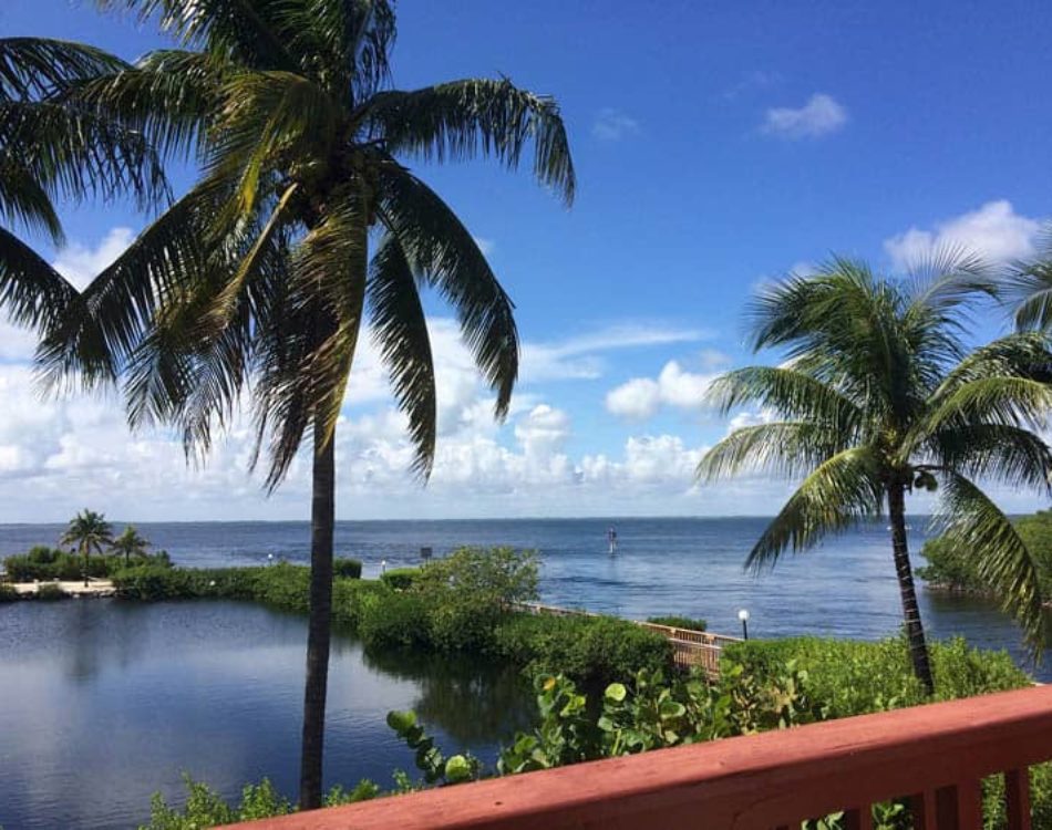 10 Unique Things to Do in Central Florida