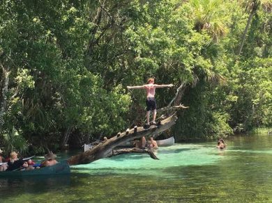 10 Unique Things to Do in Central Florida | The Planet D