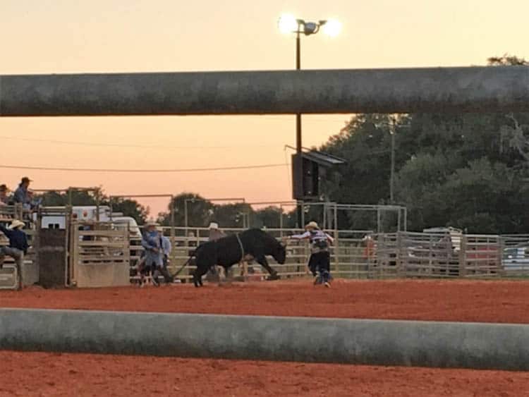 central florida things to do | rodeo