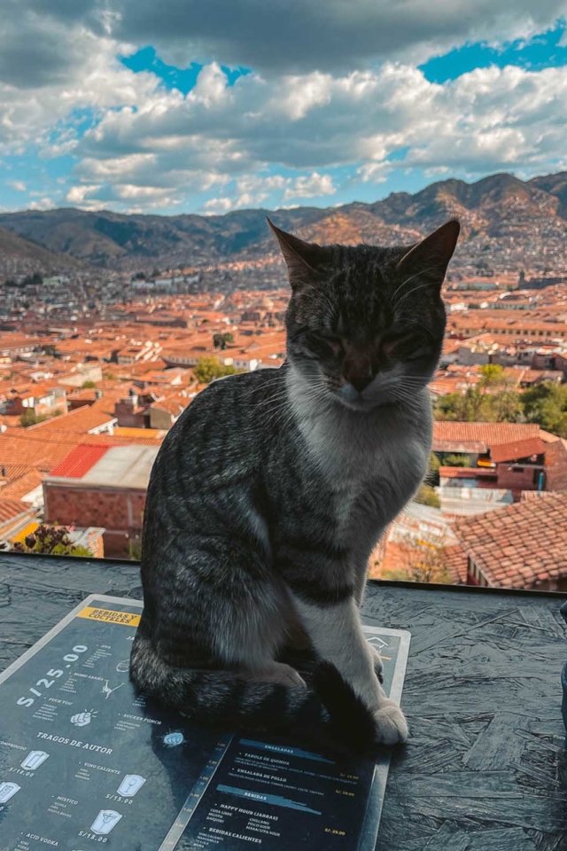 What to do with a view of Cusco city?