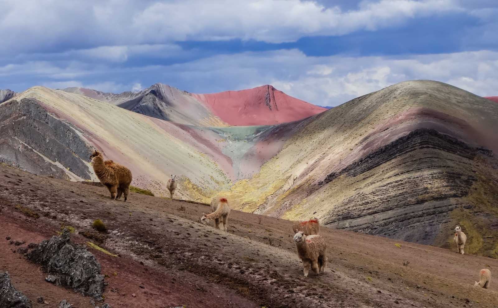 best things to do in cusco Palcoyo Mountain of colors