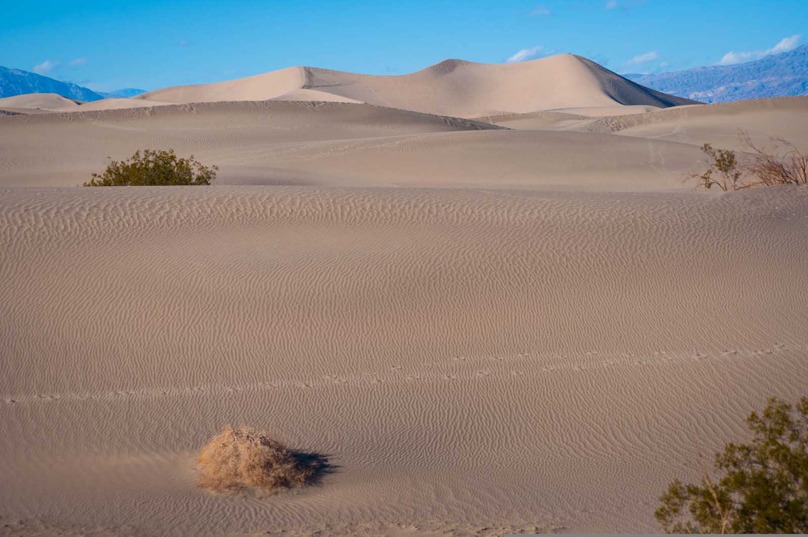 Eureka Dunes Things to do in Death Valley National Park