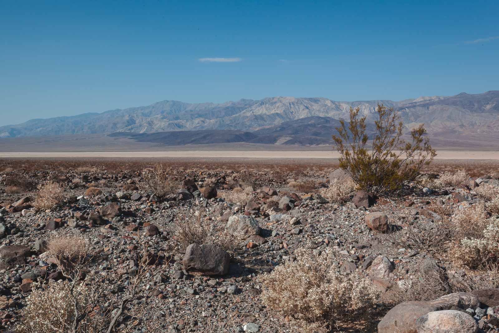 Things to do in Death Valley National Park heat