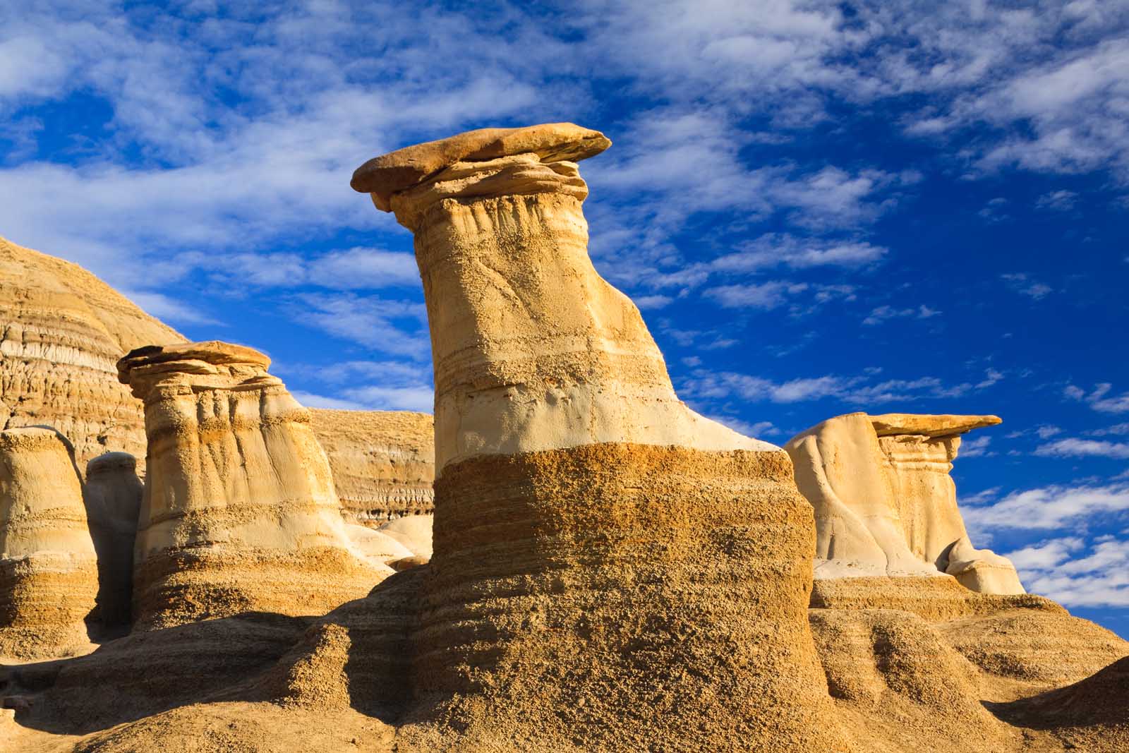 best things to do in drumheller alberta