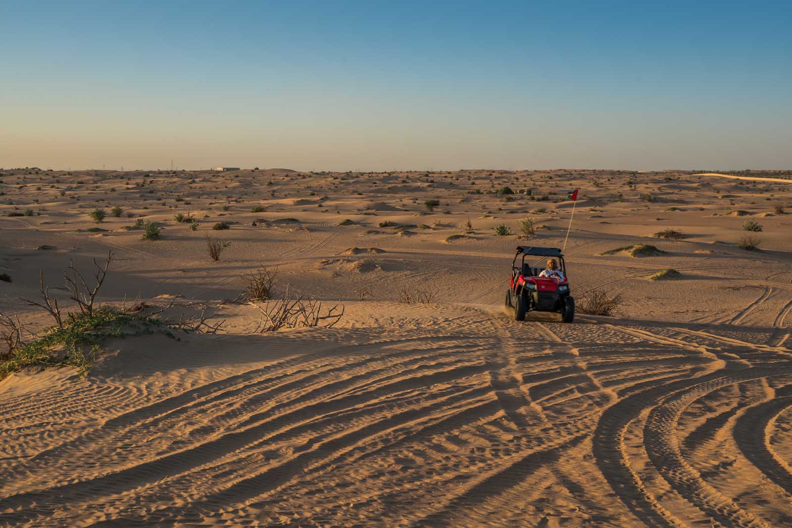 things to do in dubai desert sfari